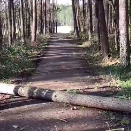 Има загинали при силните бури, връхлетели Централна Европа днес