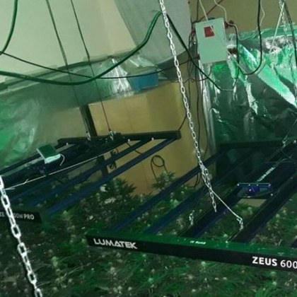 Полицията във Варна разби оранжерия за марихуана в квартал Аспарухово
