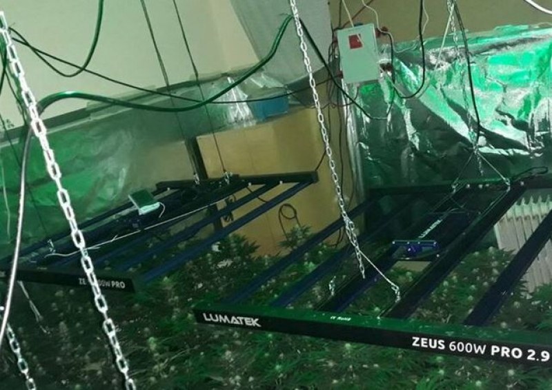 Полицията във Варна разби оранжерия за марихуана в квартал „Аспарухово“.