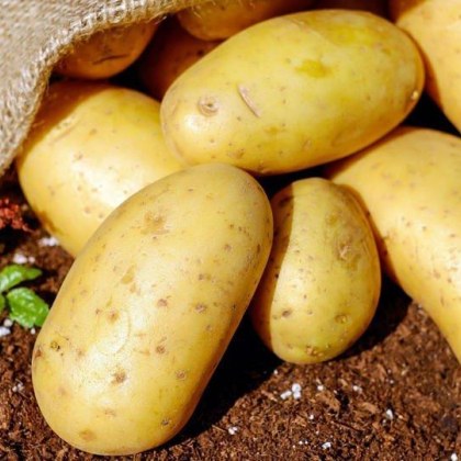 Картофите могат да имат определена полза за да се отървате от