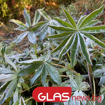 С умерен и временно силен северозападен в Източна България