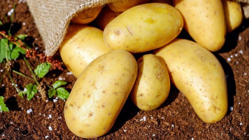 Разкриха неочаквани ползи от картофите за акнето