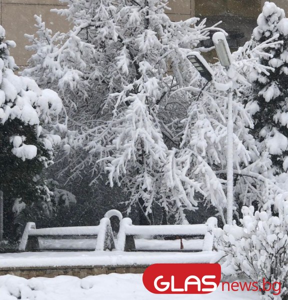 Сняг затрупва България! 8 области са с 