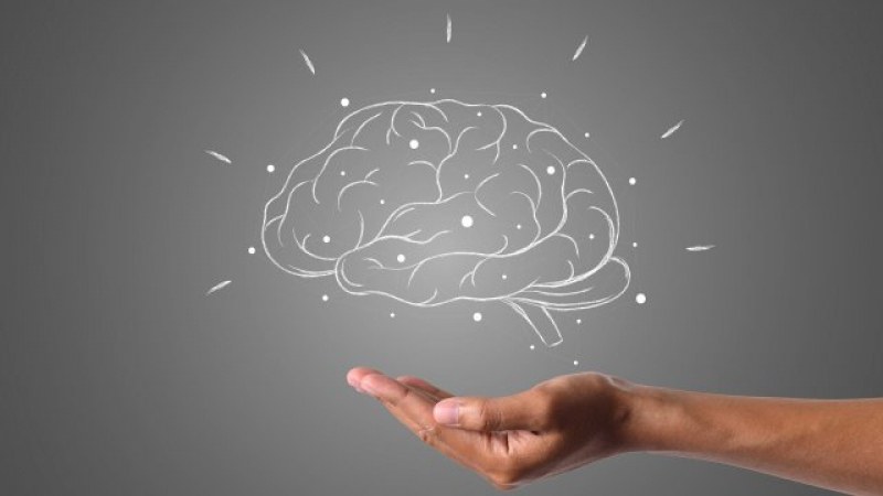 Последни секунди живот, записани на ЕЕГ: Какво се случва в мозъка ни?