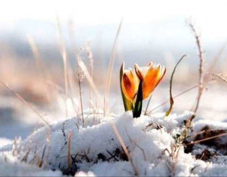 Тази година през март се очаква средната месечна температура да