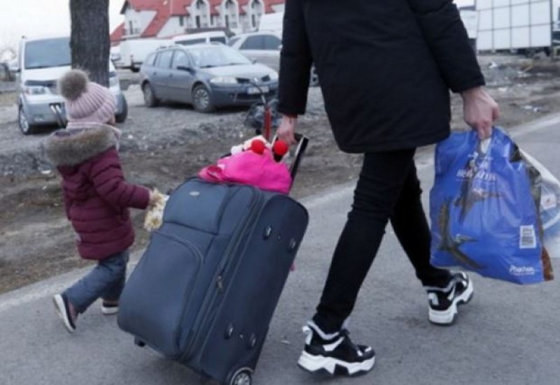 Каква е процедурата за получаване на бежански статут в България