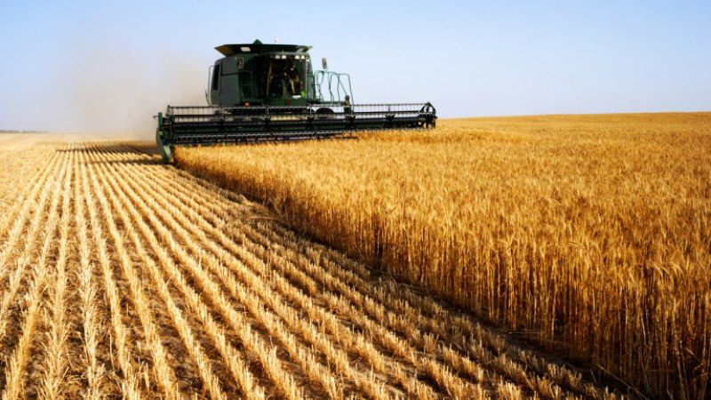 Денонощни проверки върху износа на зърнени и житни култури осъществяват
