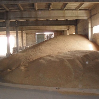 Заявеното от държавата спешно изкупуване на 1 1 млн т хлебно