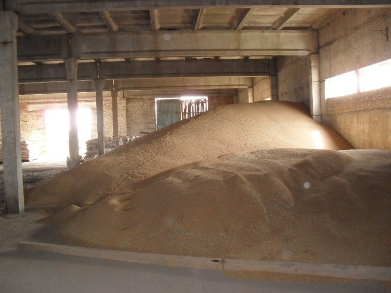 Заявеното от държавата спешно изкупуване на 1.1 млн. т хлебно