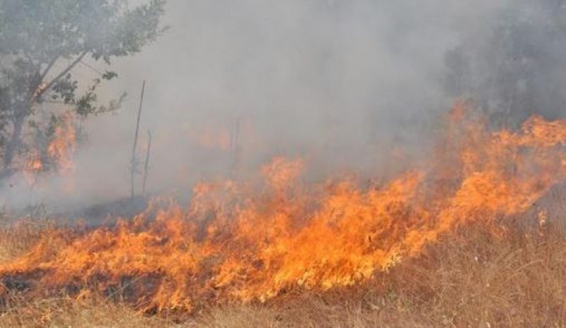 Пожар в сухи треви горя на голяма площ между Стамболийски