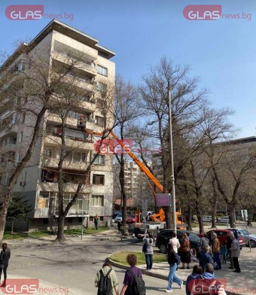 Котка блокира движението на ул. „Капитан Райчо Николов“ в Пловдив,