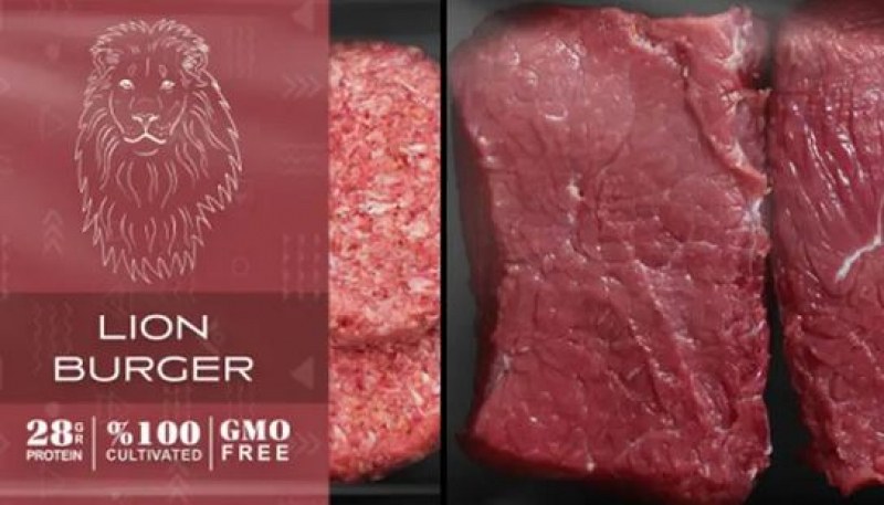 Вкус от ново ниво - фирма ще предлага месо от лъв