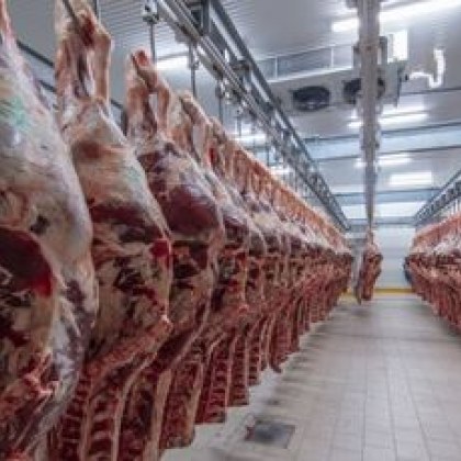 Около 50 тона месо без документи за произход и без