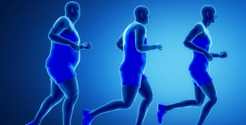 Учените откриха основния регулатор на човешкото телесно тегло