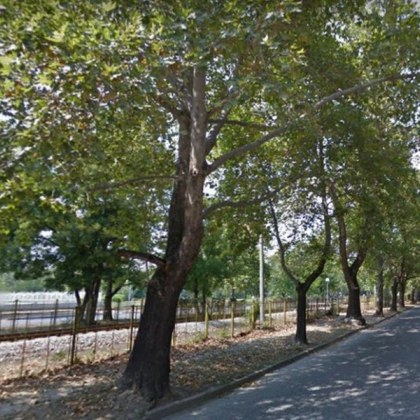 Новоремонтиран участък от булевард Копривщица в Пловдив създава главоболия на