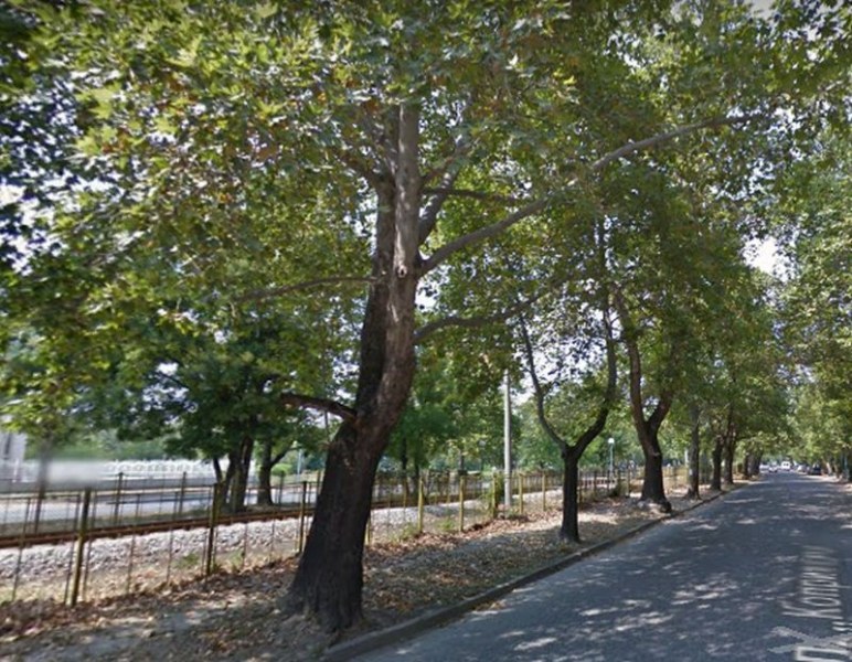 Ремонтиран булевард в Пловдив събра гонкаджиите, ще се вземат ли мерки?