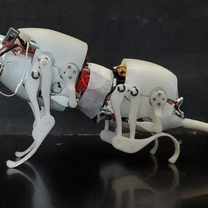 Учени създадоха роботизиран плъх за търсене на оцелели при бедствия