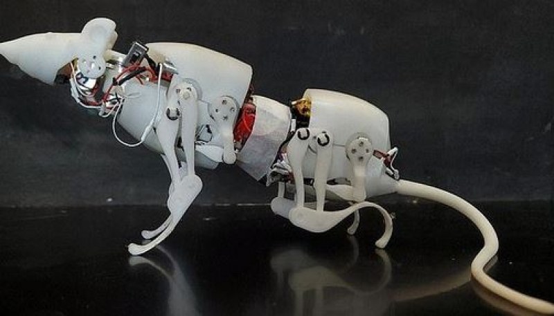 Създадоха роботизиран плъх, който да помага при бедствия