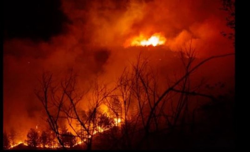 Голям пожар бушува близо до село Илинденци, община Струмяни.По данни