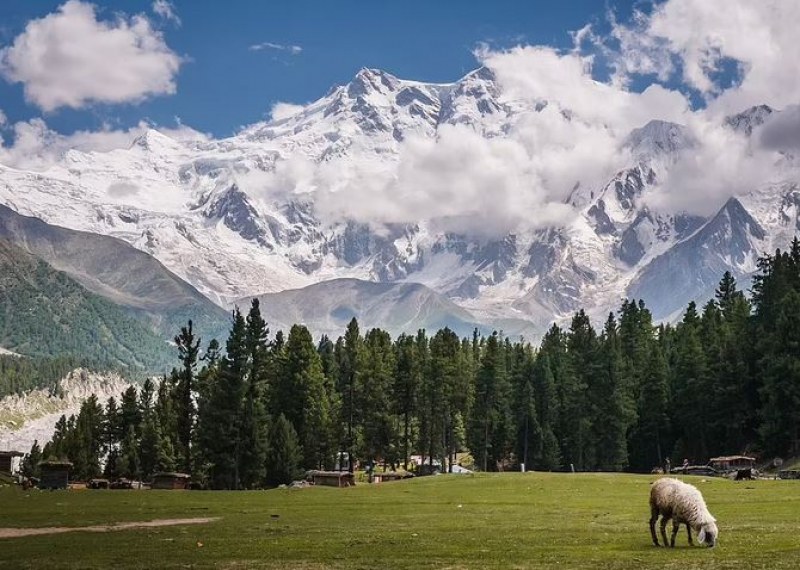Завладяващата сурова красота на Хималаите в СНИМКИ