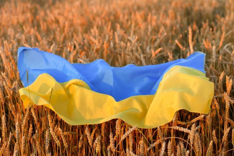 Руските сили са откраднали няколкостотин хиляди тона зърно от Украйна