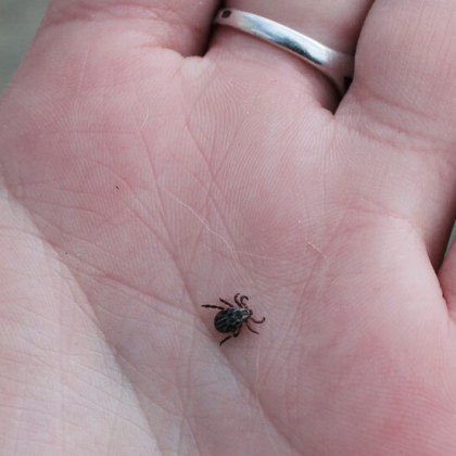 Времето навън може да е непостоянно но важното е че