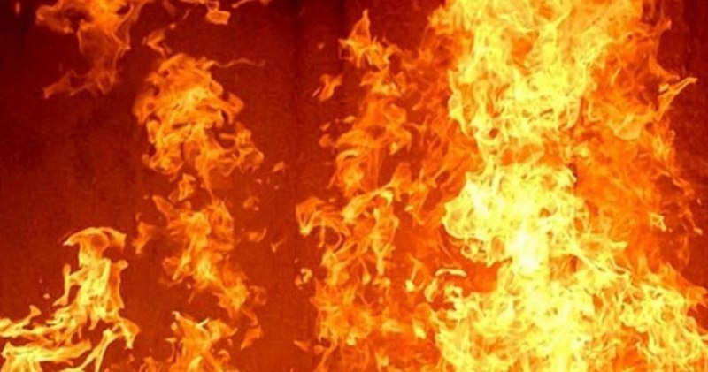 Огнеборец подпали огромен пожар заради пчели