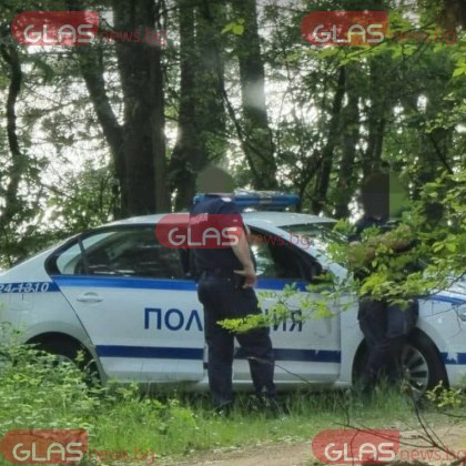Софийските криминалисти откриха седем трупа на възрастни хора в гориста