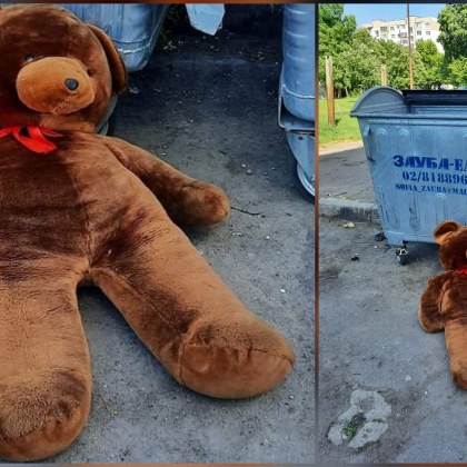 Снимка на изхвърлен плюшен мечок до контейнери за отпадъци предизвика