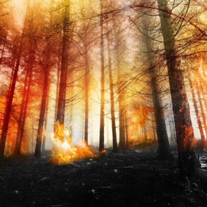 Мълния е предизвикала пожара на територията на Природен парк Рилски