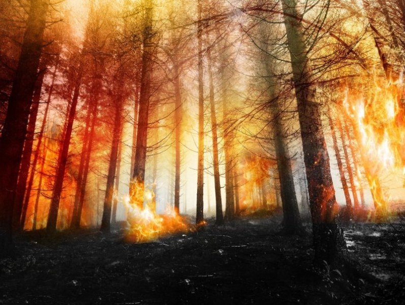 Мълния е предизвикала пожара на територията на Природен парк Рилски