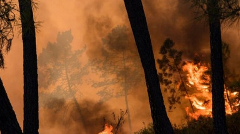Втори пожар гори в природния парк 