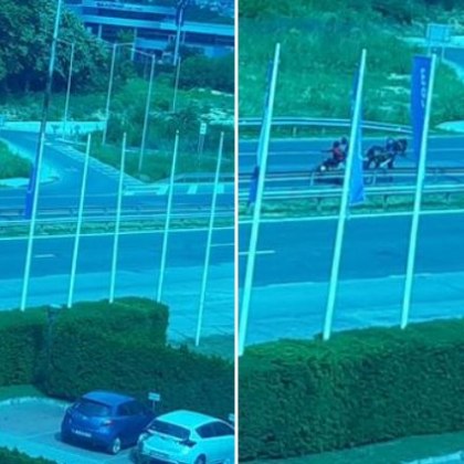 Правилата са за всички! Каруца в насрещното на