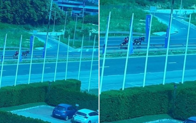 Правилата са за всички! Каруца в насрещното на 