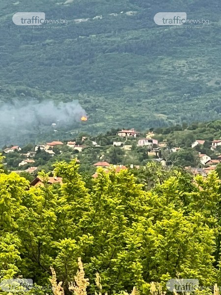 Пожар гори над Браниполе СНИМКИ
