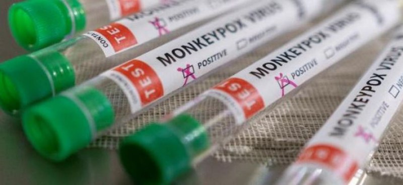 Летните фестивали и партита може да увеличат разпространението на маймунската шарка