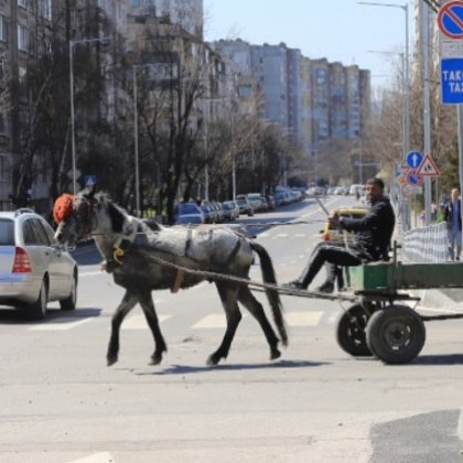 София забранява движението на каруци