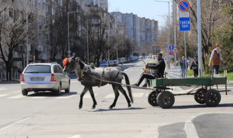 София забранява движението на каруци