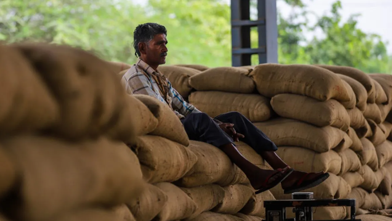 Египет се снабдява, закупи 50 000 тона пшеница от България