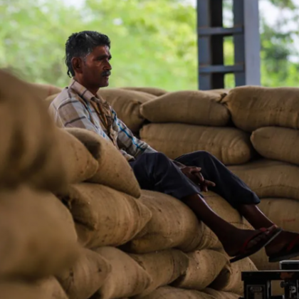 Египет закупи 465 000 тона пшеница с произход от Русия