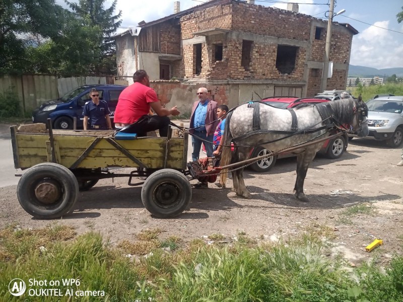 Има ли смисъл от забраната за движение на каруци в София?