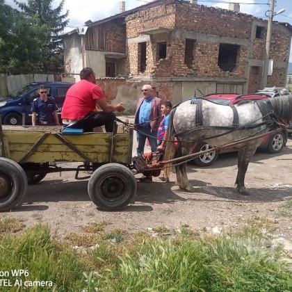 Има ли смисъл от забраната за движение на каруци в София?