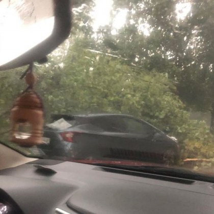 Порой и градушка в София. Клон падна върху кола, улици са под вода ВИДЕО+СНИМКИ