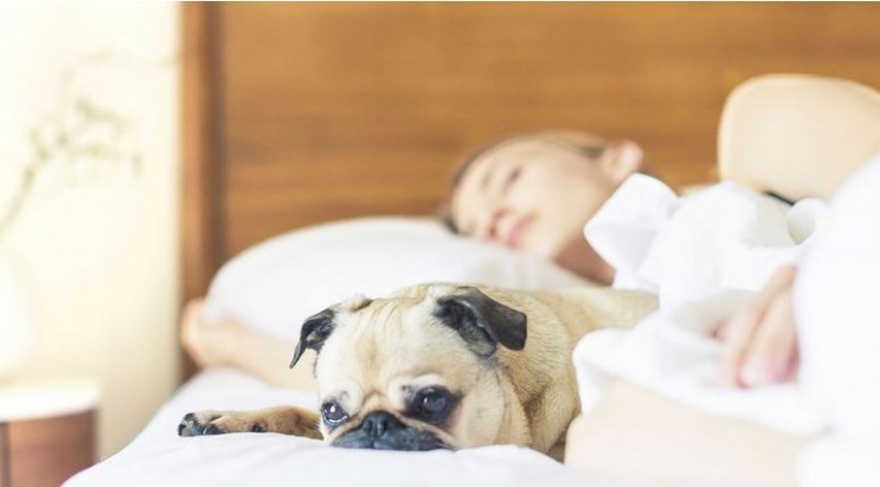 Защо спим по-малко през лятото? Разкриха причината
