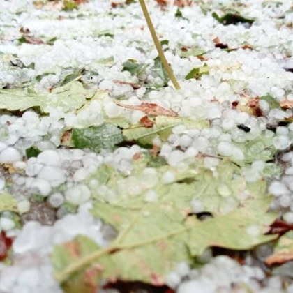 Силна градушка унищожи днес следобед реколтата в пловдивското село Скобелево