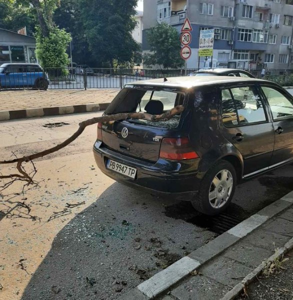 Клон се стовари върху паркирана кола. Кой ще носи отговорност?