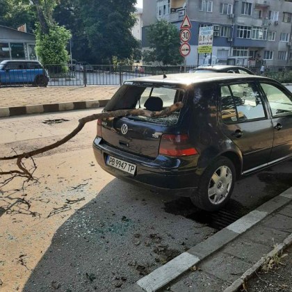 Клон на дърво се стовари върху паркирана кола в Асеновград