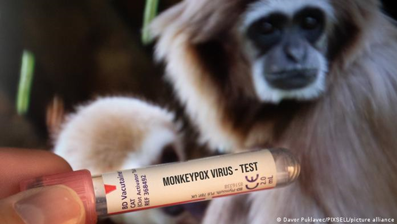 В Сърбия е регистриран първият случай на маймунска шарка, съобщи