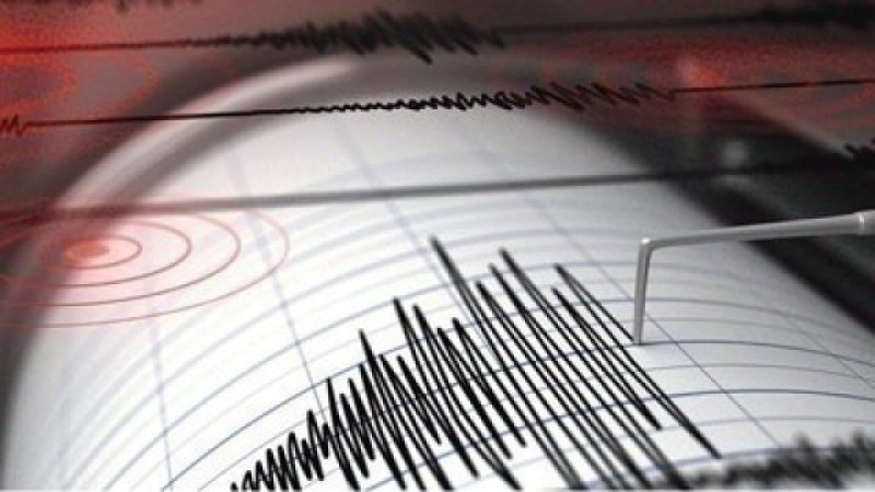 Земетресение с магнитуд 4,8 по Рихтер е разтърсило района на