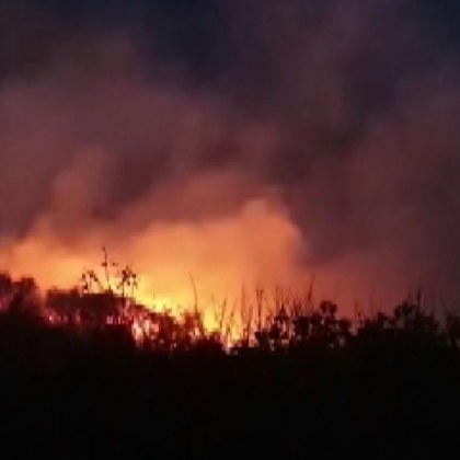 Голям горски пожар бушува в района на турския курортен град